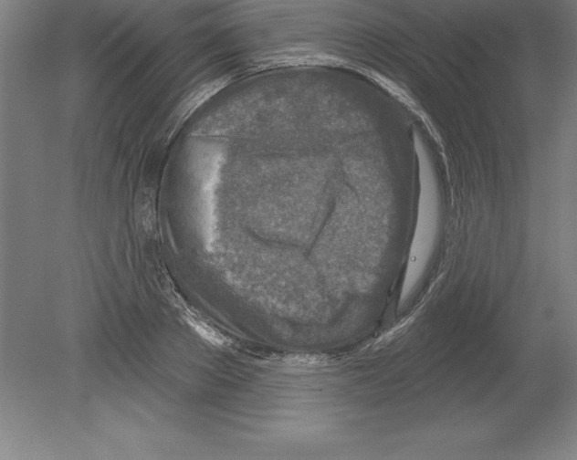 X0000079580889200612301404