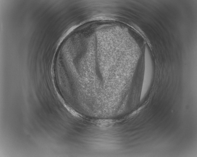 X0000079580893200612301404