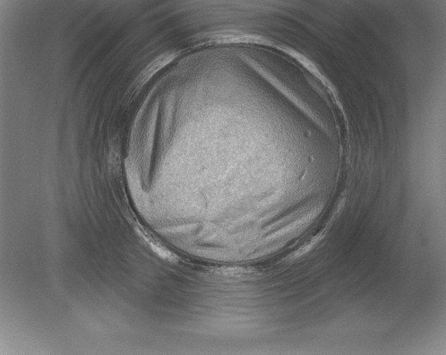 X0000079580897200612301404