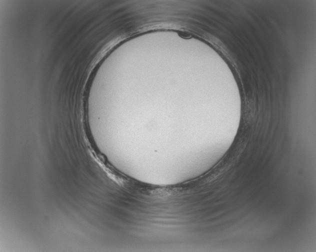 X0000079580898200612301404