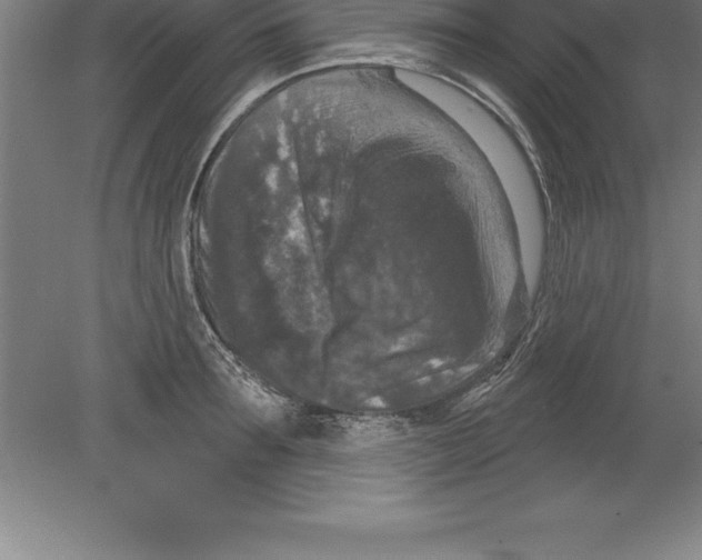 X0000079580899200612301403