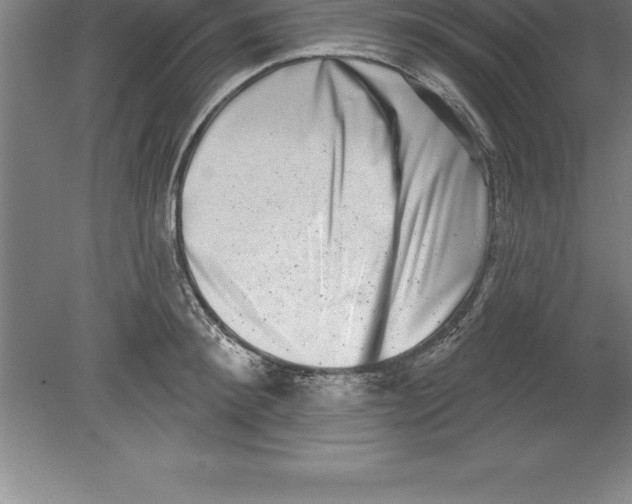 X0000079580900200612301403