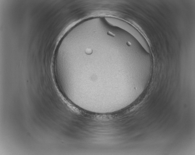 X0000079580901200612301403