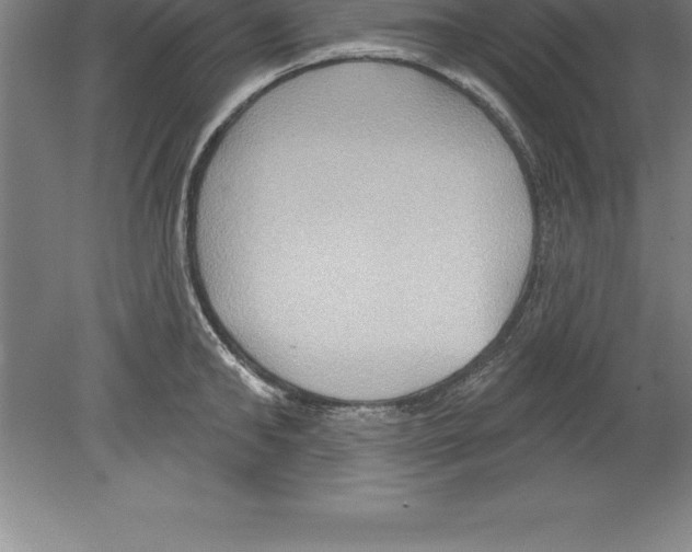 X0000079580902200612301403