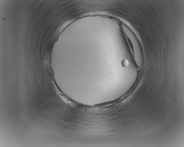 X0000079580905200612301403