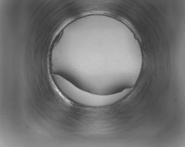 X0000079580906200612301403