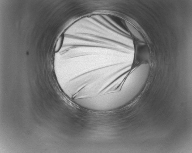 X0000079580908200612301403