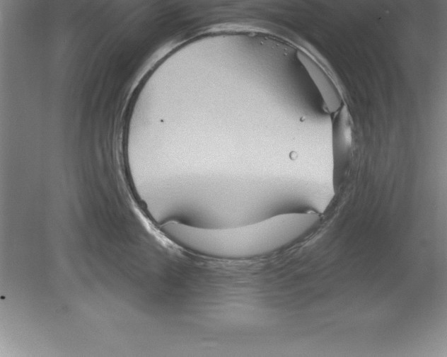 X0000079580909200612301403