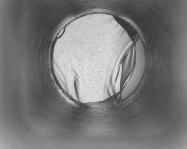 X0000079580910200612301403