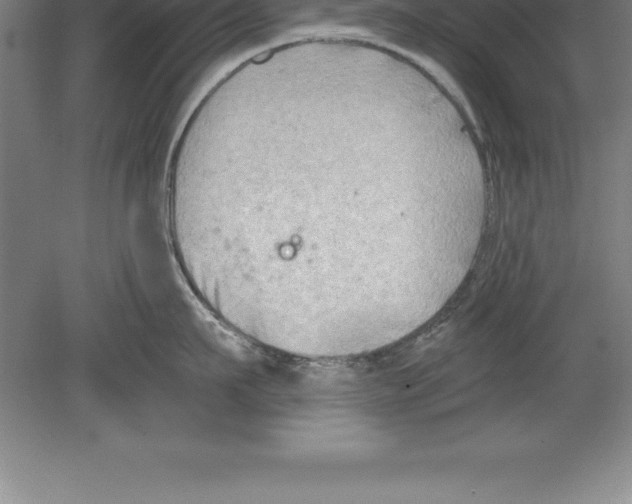 X0000079580911200612301403