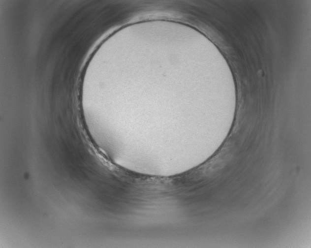 X0000079580912200612301403