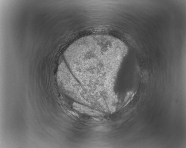 X0000079580913200612301402