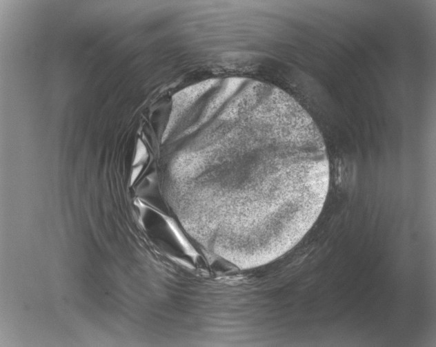 X0000079580915200612301403