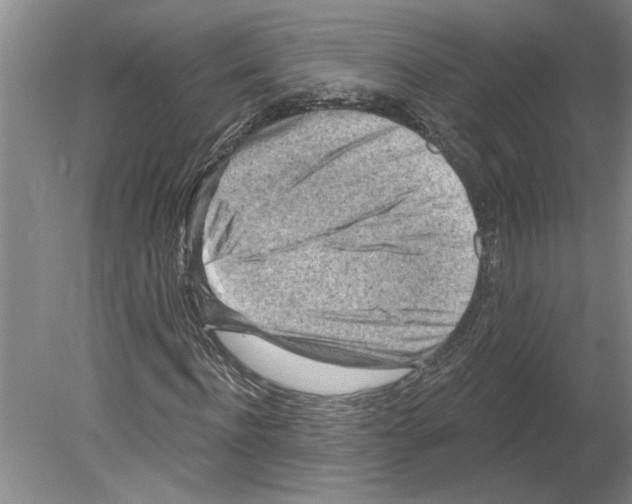 X0000079580916200612301403