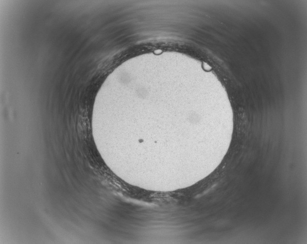 X0000079580918200612301403