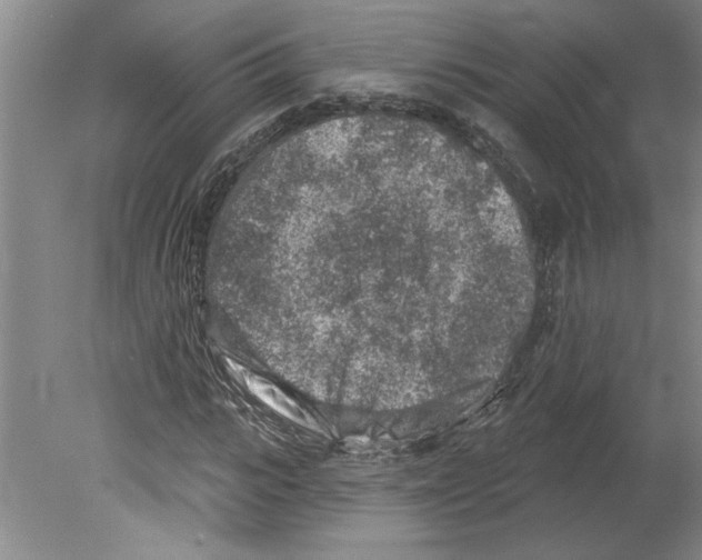 X0000079580919200612301403