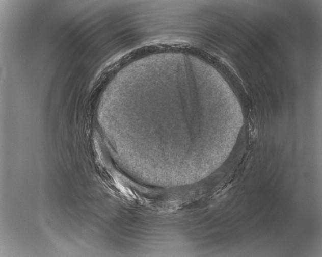 X0000079580920200612301403