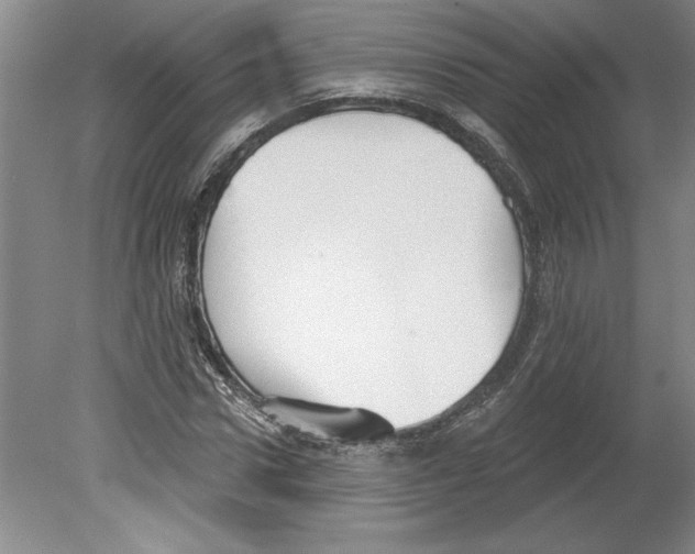 X0000079580922200612301403