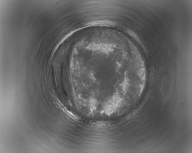 X0000079580923200612301403