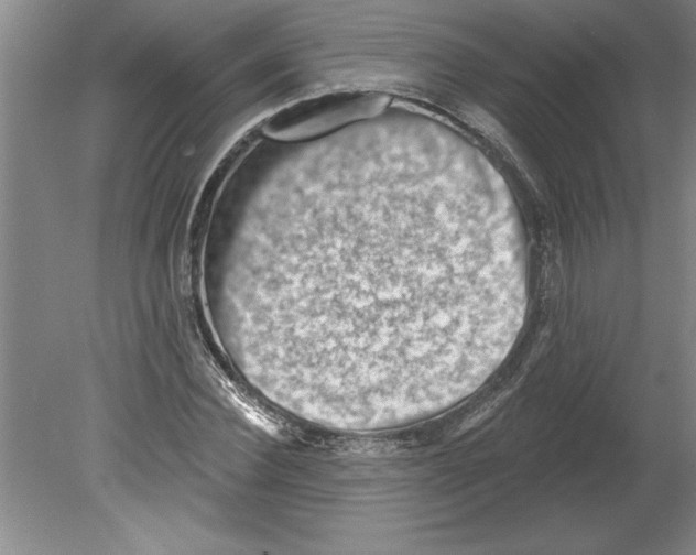 X0000079580924200612301403