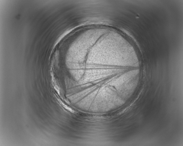 X0000079580925200612301403