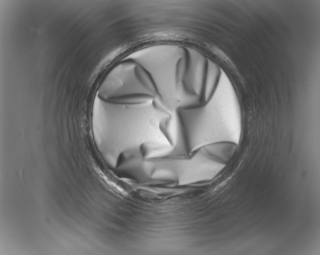 X0000079580930200612301403