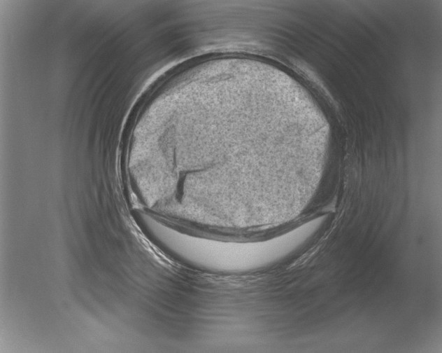 X0000079580932200612301403