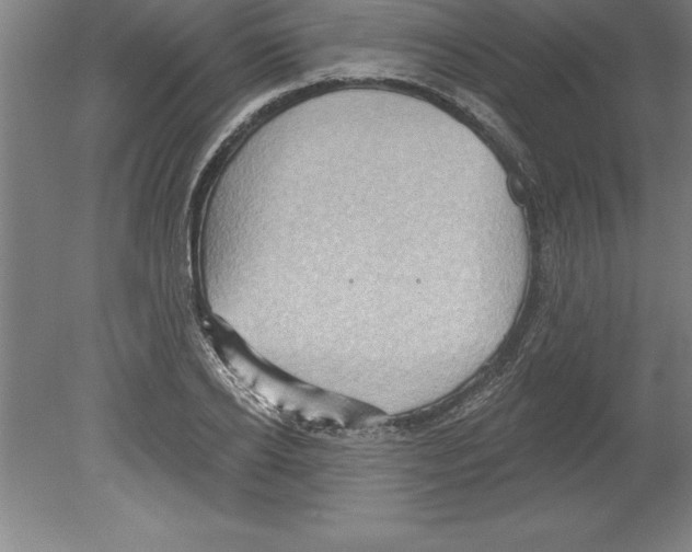 X0000079580934200612301403