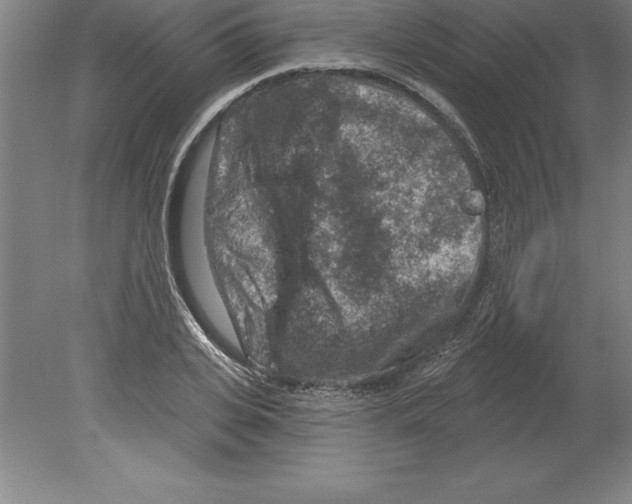 X0000079580935200612301403