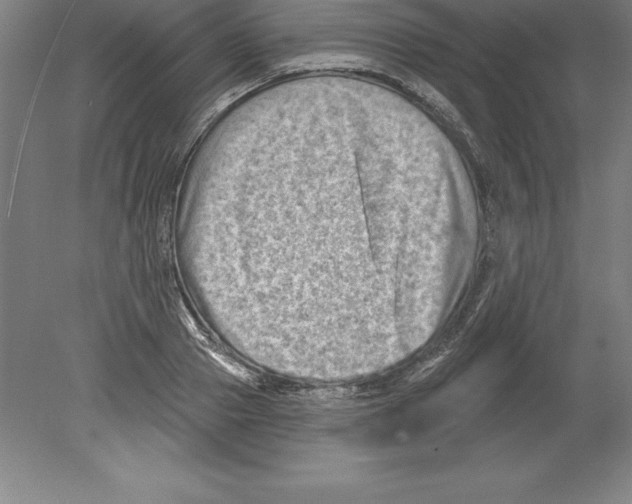 X0000079580937200612301403