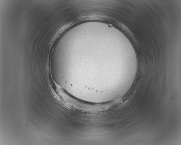 X0000079580938200612301403