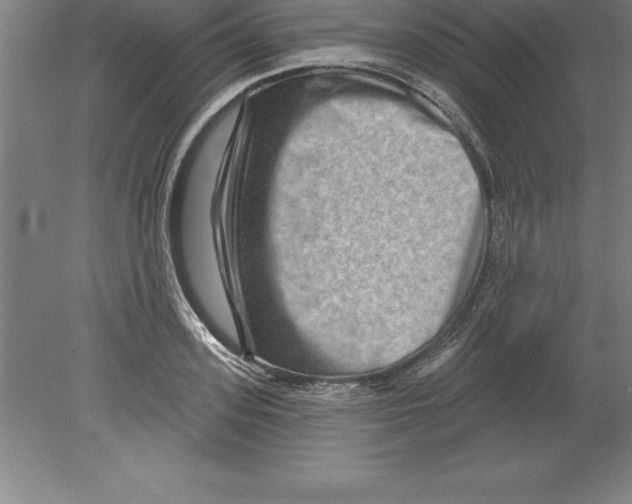 X0000079580939200612301403