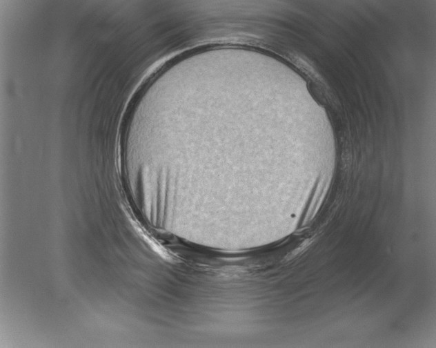 X0000079580940200612301403