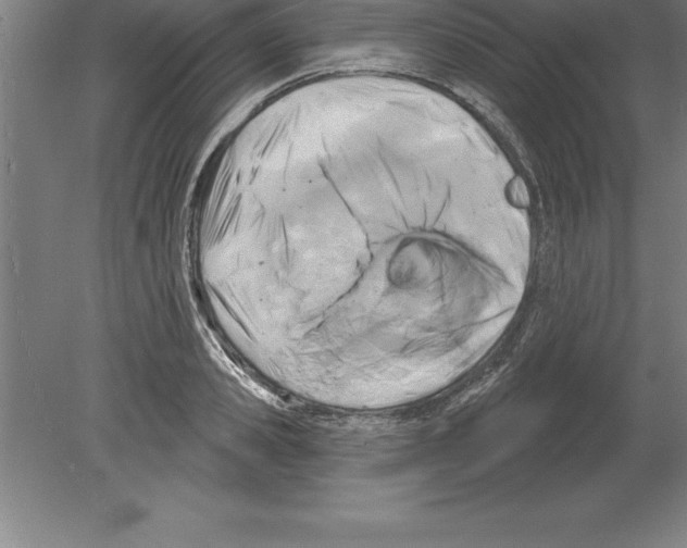 X0000079580941200612301403