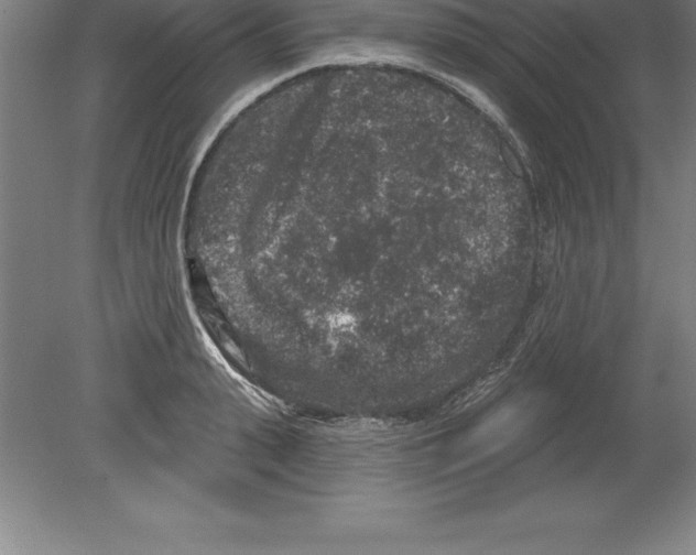 X0000079580943200612301403