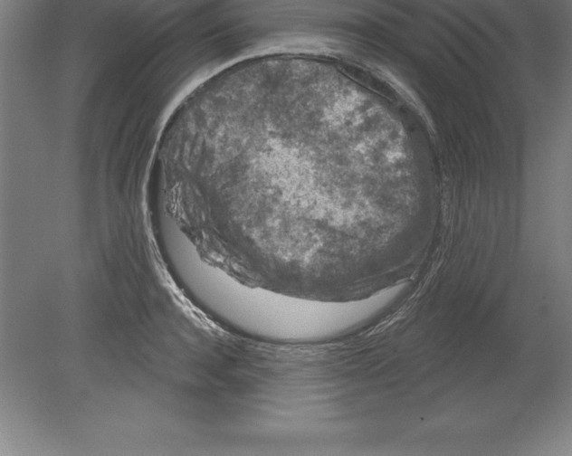 X0000079580944200612301403