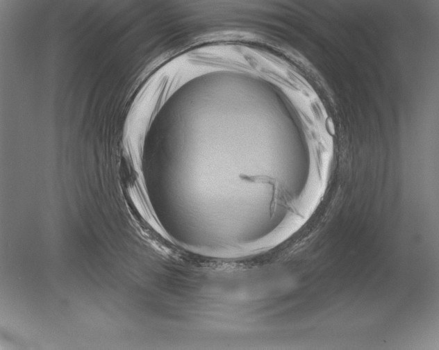 X0000079580945200612301403