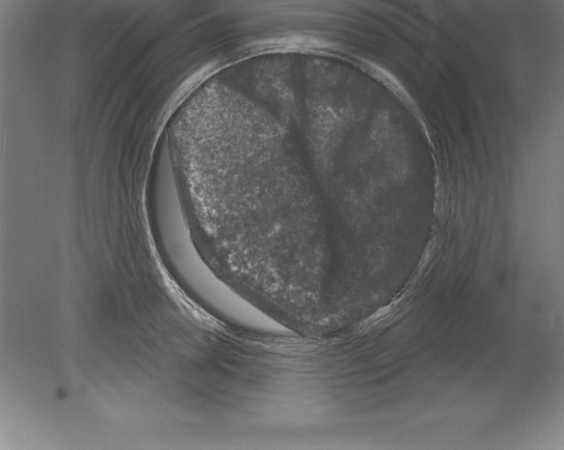 X0000079580946200612301403