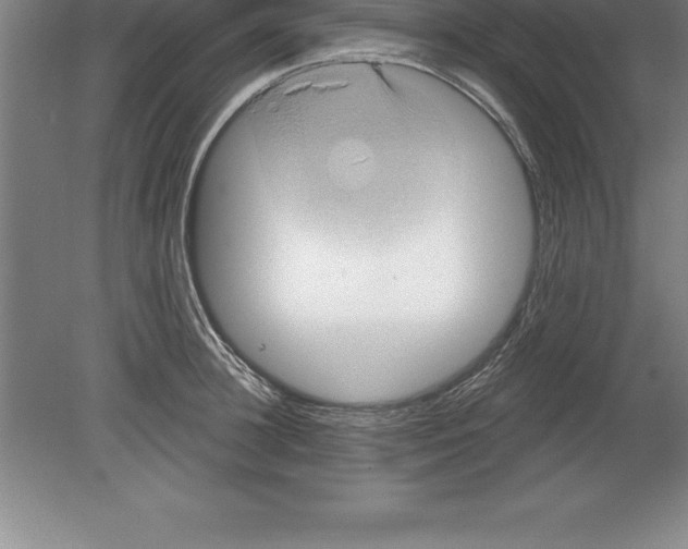 X0000079580948200612301403