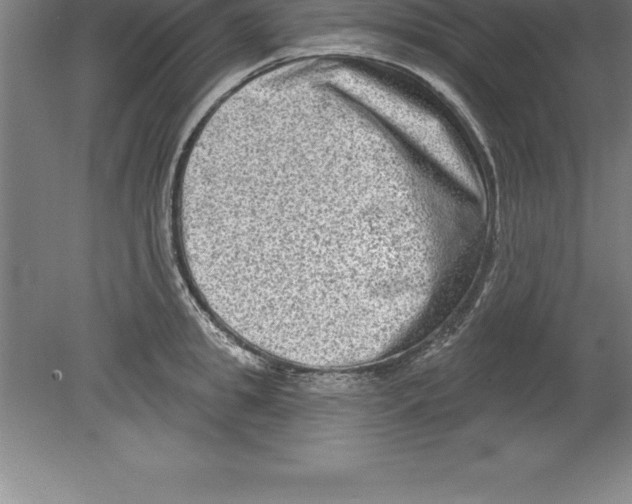 X0000079580949200612301403