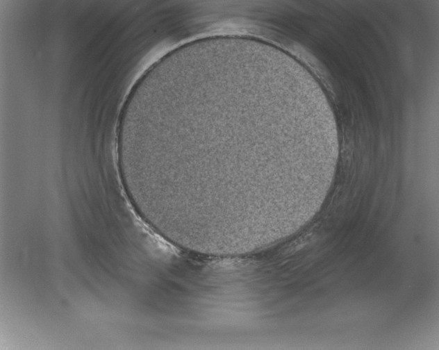 X0000079580950200612301403