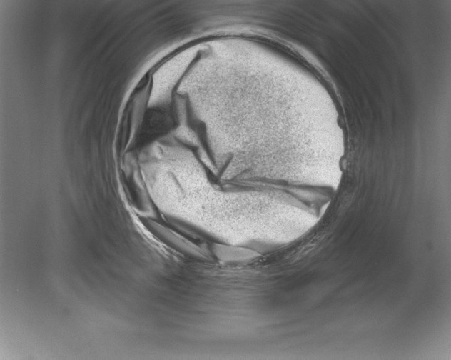 X0000079580951200612301403