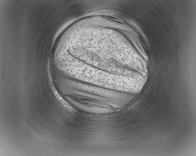 X0000079580952200612301403