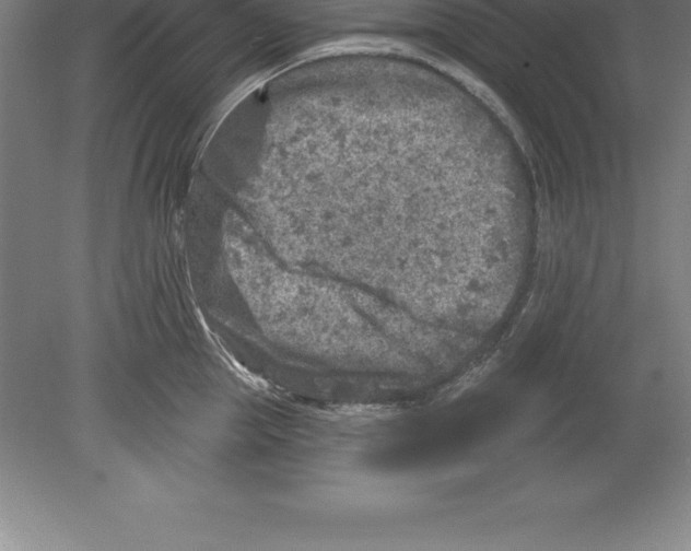 X0000079580953200612301403