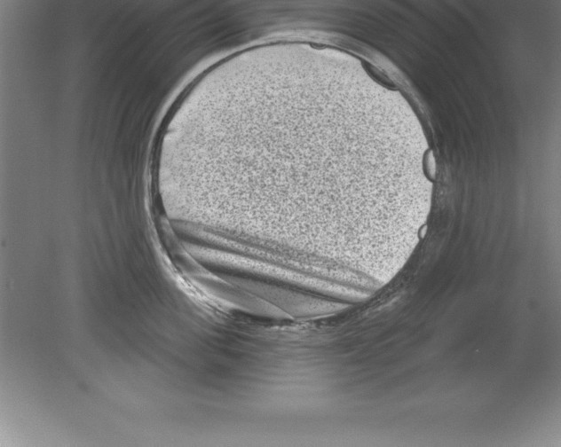 X0000079580955200612301403