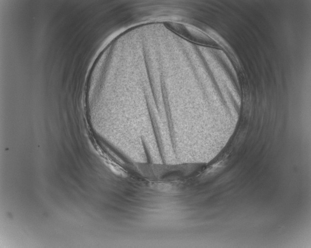 X0000079580956200612301403