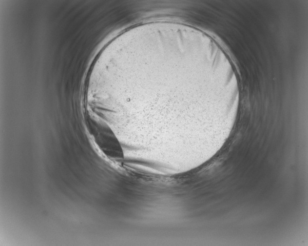 X0000079580957200612301403