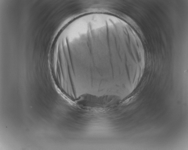 X0000079580958200612301403