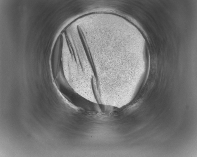 X0000079580959200612301403