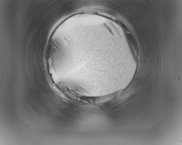 X0000079580960200612301403